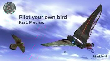 The Swift | Natural Flight Reinvented